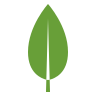 MongoDB Icon