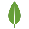 MongoDB Icon